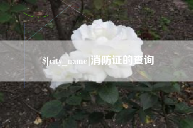 南昌消防证的查询