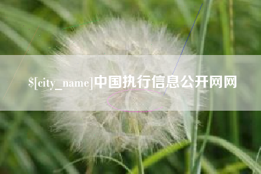 南昌中国执行信息公开网网