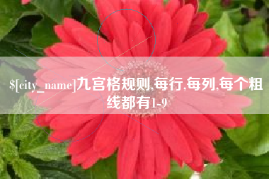 南昌九宫格规则,每行,每列,每个粗线都有1-9