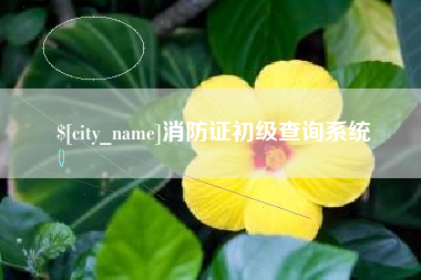 南昌消防证初级查询系统