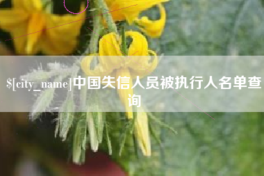 南昌中国失信人员被执行人名单查询