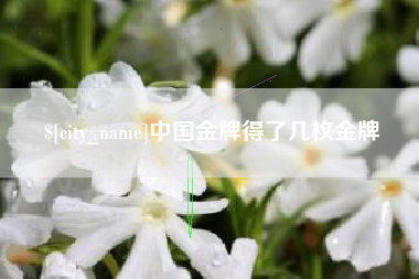 南昌中国金牌得了几枚金牌