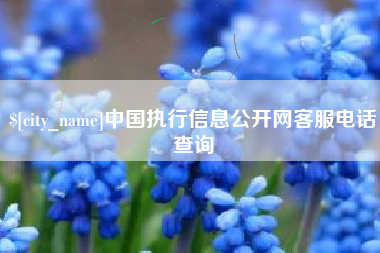 南昌中国执行信息公开网客服电话查询