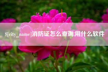 南昌消防证怎么查询,用什么软件