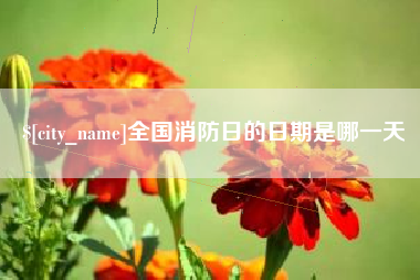 南昌全国消防日的日期是哪一天