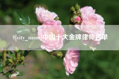 南昌中国十大金牌律师名单