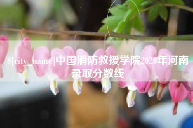 南昌中国消防救援学院2020年河南录取分数线