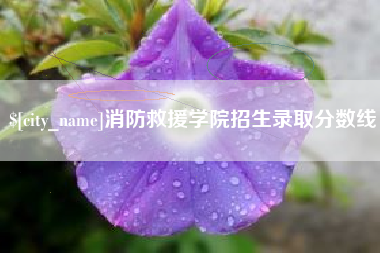 南昌消防救援学院招生录取分数线