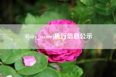 南昌执行信息公示