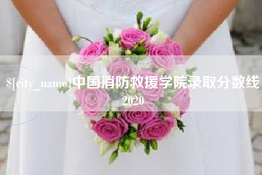南昌中国消防救援学院录取分数线2020