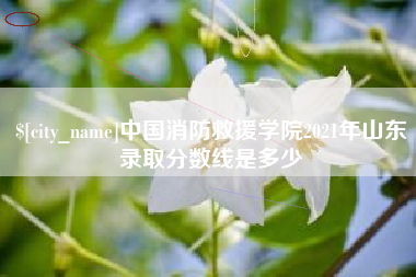 南昌中国消防救援学院2021年山东录取分数线是多少