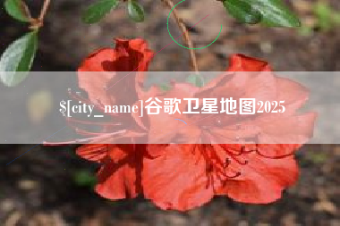 南昌谷歌卫星地图2025