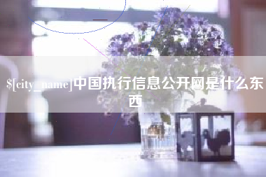 南昌中国执行信息公开网是什么东西