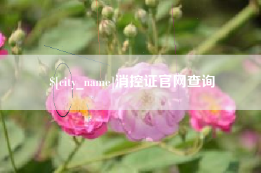 南昌消控证官网查询