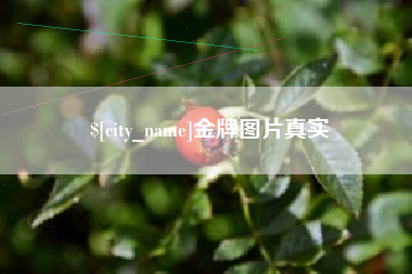 南昌金牌图片真实