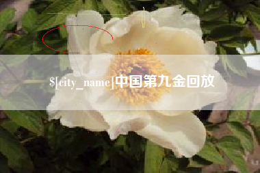 南昌中国第九金回放