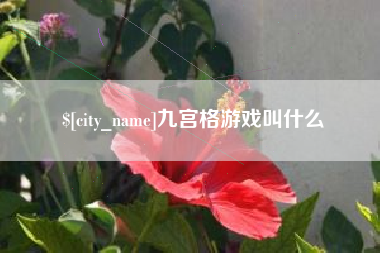 南昌九宫格游戏叫什么