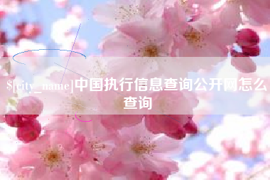 南昌中国执行信息查询公开网怎么查询