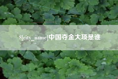 南昌中国夺金大项是谁