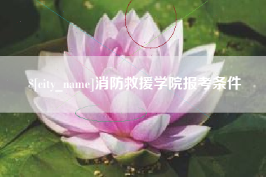 南昌消防救援学院报考条件