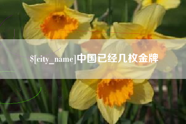 南昌中国已经几枚金牌