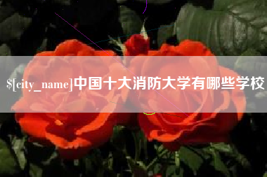 南昌中国十大消防大学有哪些学校