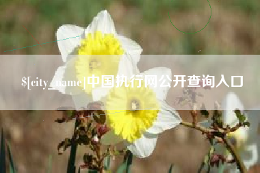 南昌中国执行网公开查询入口