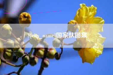 南昌国家队图案