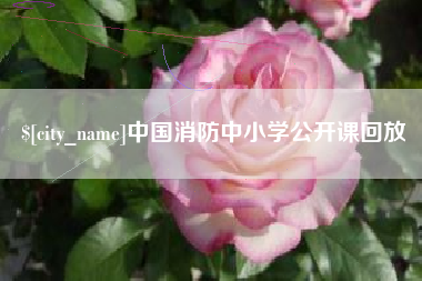 南昌中国消防中小学公开课回放