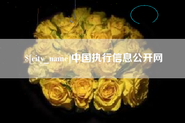 南昌中国执行信息公开网