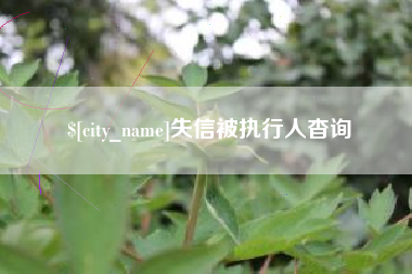 南昌失信被执行人杳询