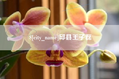 南昌邱县王子磊