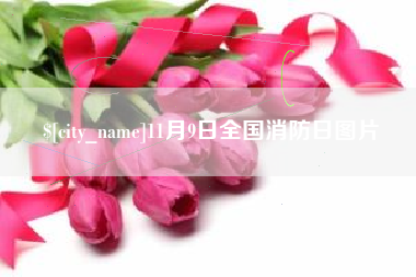 南昌11月9日全国消防日图片