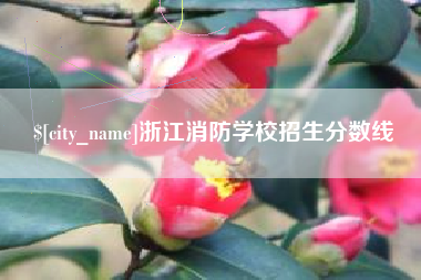 南昌浙江消防学校招生分数线