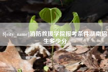 南昌消防救援学院报考条件湖南招生多少分