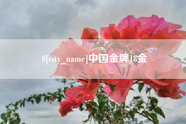 南昌中国金牌18金