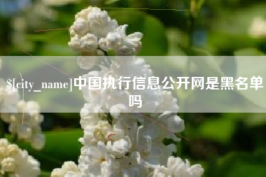 南昌中国执行信息公开网是黑名单吗