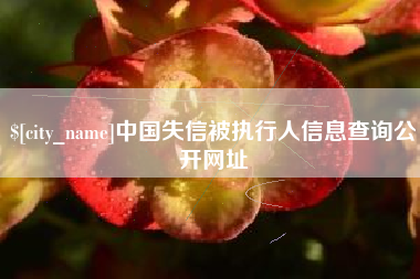 南昌中国失信被执行人信息查询公开网址