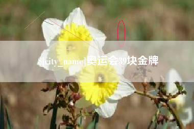 南昌奥运会39块金牌