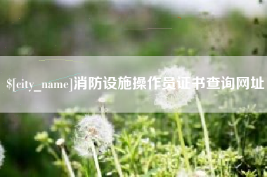 南昌消防设施操作员证书查询网址