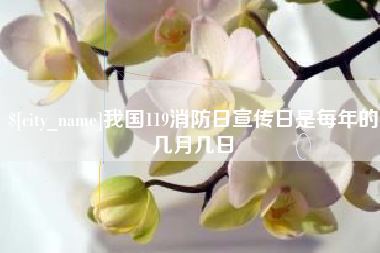 南昌我国119消防日宣传日是每年的几月几日