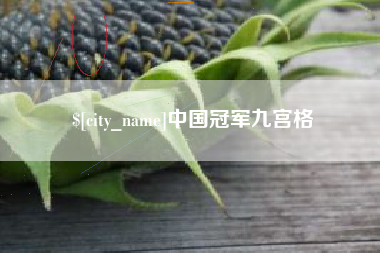 南昌中国冠军九宫格