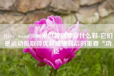 南昌5000米世界冠军穿什么鞋-它们是运动员取得优异成绩背后的重要“功臣”