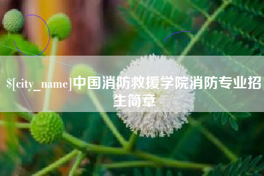 南昌中国消防救援学院消防专业招生简章