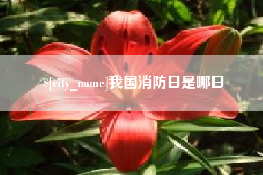 南昌我国消防日是哪日