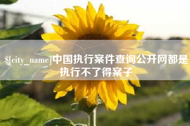 南昌中国执行案件查询公开网都是执行不了得案子