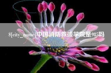南昌中国消防救援学院是985吗