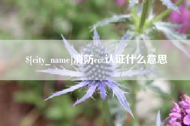 南昌消防ccc认证什么意思