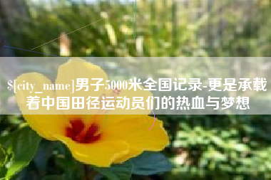南昌男子5000米全国记录-更是承载着中国田径运动员们的热血与梦想
