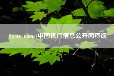 南昌中国执行信息公开网查询